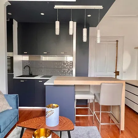 Le Dijontissime De Gamme,climatise, Centre