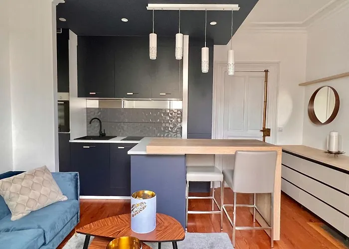 Le Dijontissime De Gamme,climatise, Centre